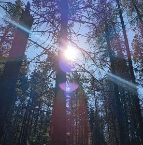 Meet your Posher, Bridgette